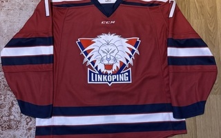 Linköping game worn