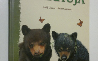 Molly Grooms : Me olemme karhuja