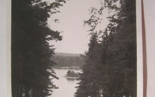 VANHA Valokuva Punkaharju 1930-l Kortin Alkup.Mallikappale