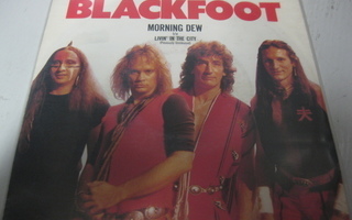 BLACKFOOT - MORNING DEW - SAKSA PAINOS - M-/M- 7'' SINGLE