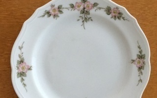 Winterling Röslau kukkakuvioiset lautaset 8 kpl