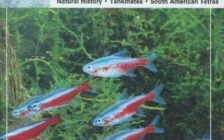 The Guide to OWNING TETRAS. Tetrat.Spencer Glass Sid.
