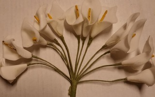 Valkoisia paperi kukkia 12 kpl