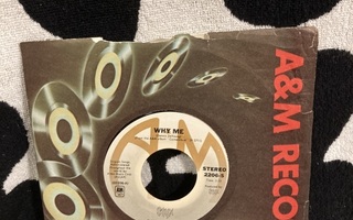 Styx – Why Me / Lights 7"