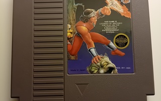 Rygar nes usa