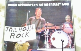 Bruce Springsteen &The E-Street Band-Werchter Wrecking Ball