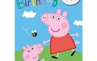 PIPSA POSSU Syntymäpäiväkortti +rintamerkki HAPPY BIRTHDAY!