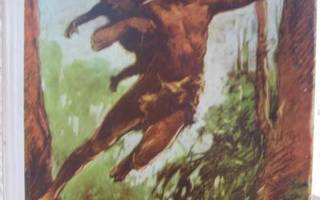 Edgar Rice Burroughs: Tarzanin poika, KK-71. 272 s