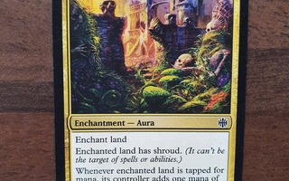 Magic the Gathering Trace of Abundance