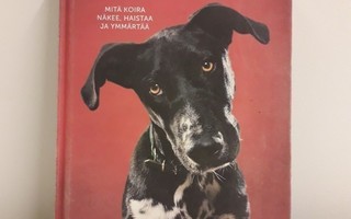 Koiran Silmin (A. Horowitz, kirja)