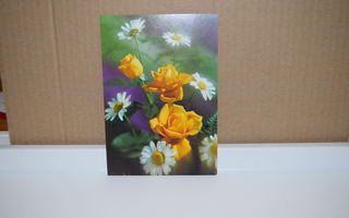 postikortti   kukkia ruusu päivänkakkara (T)