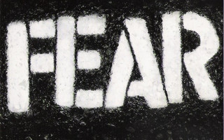 Fear – The Record CD