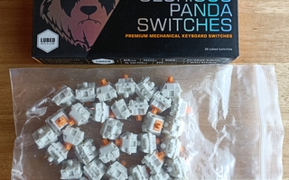 Glorious Panda Switches - Lubed (36 pack)