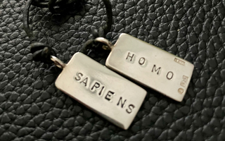 Efva Attling Homo Sapiens kaulakoru, hopeiset laatat