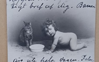 Vauva ja kissa samalla maitokupilla, vanha mv pk, p. 1913