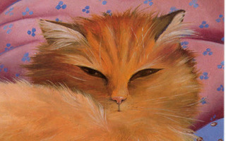 Renate Koblinger: Oranssi kissa lepäilee