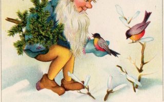 Vanha joulukortti-tonttu ja kesyt linnut