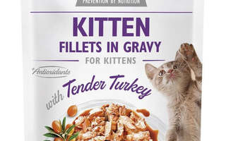 BRIT Care Cat Kitten Tender Turkey Pouch - kissan märkäruo