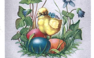 Vanha kortti: Sinivuokot, tipu ja munat, -60
