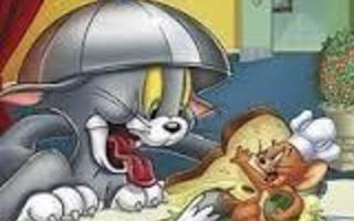 Tom ja Jerry - Mahtijahdit Osa 4 (DVD) ALE!