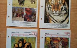 Vanhoja Ympäristön / eläinsuojelun kortteja