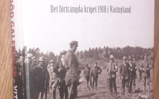Sture Lindholm: Röd Galenskap - Vit Terror