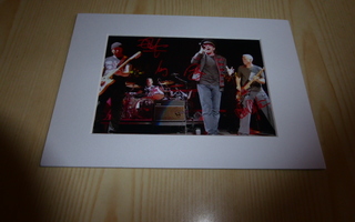 Uusi U2 valokuva & paspis