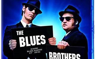 The Blues Brothers -  100th Anniversary -   (Blu-ray)