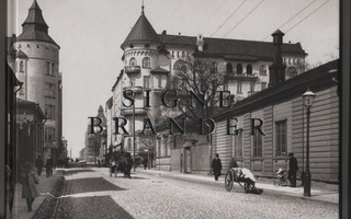 Signe Brander : 1869-1942 : Helsingin valokuvaaja, yvk, K4