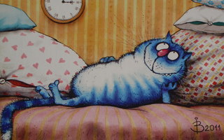 Irina Zeniuk sininen kissa haaveilee tyynyjen keskellä