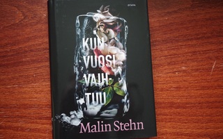 Malin Stehn: Kun vuosi vaihtuu (2022)