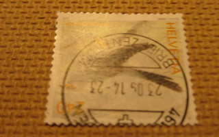 Sveitsi 2006: lintu - cuculus canorus