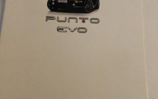 Myyntiesite - Fiat Punto Evo - 2010