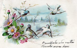 Vanha postikortti- linnut kauniissa maisemassa