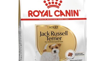 ROYAL CANIN Jack Russell Adult - Kuiva koiranruo