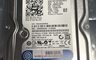 WD 500gb 3,5" sata kovalevy - käytetty