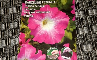Petunia "Mirage Rose Morn" 15 siementä