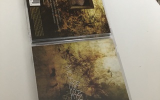 Alanis Morissette - Flavors of Entanglement CD