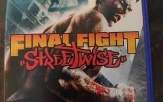 Final fight streetwise ps2