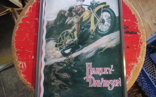 Peltikyltti Harley-Davidson