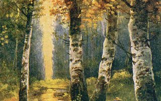 Vanha postikortti- syksyinen metsä