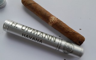 SIKARI - ikivanha Havana