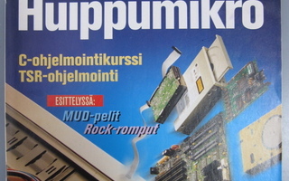 MikroBitti nro 6-7/1995