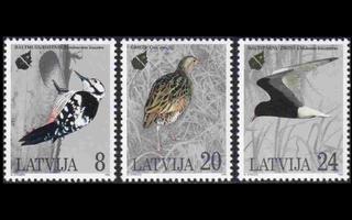 Latvia 403-5 ** Luonnonsuojelu lintuja (1995)