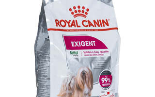 Royal Canin CCN MINI EXIGENT - kuivaruoka aikuis