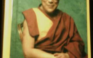 Dalai-Lama: Vapaus maanpaossa, elämäkerta (Sis.postikulut)