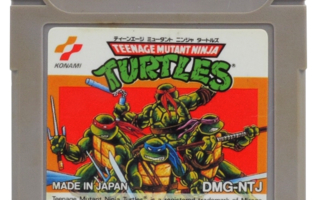 Teenage Mutant Ninja Turtles (Japanese Release)