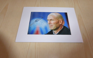 Uusi Zinedine Zidane valokuva & paspis