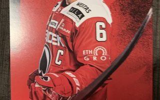 Jesse Joensuu postikortti, Ässät Pori