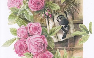 Marjolein Bastin: Linnunpönttö, ruusut
